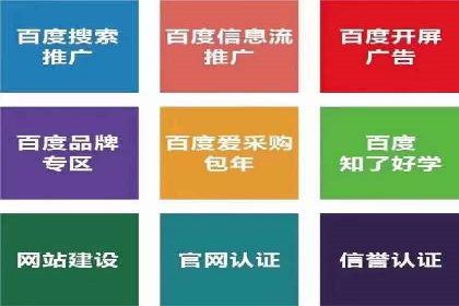 百度SEO推广公司案例精选：助力企业快速崛起